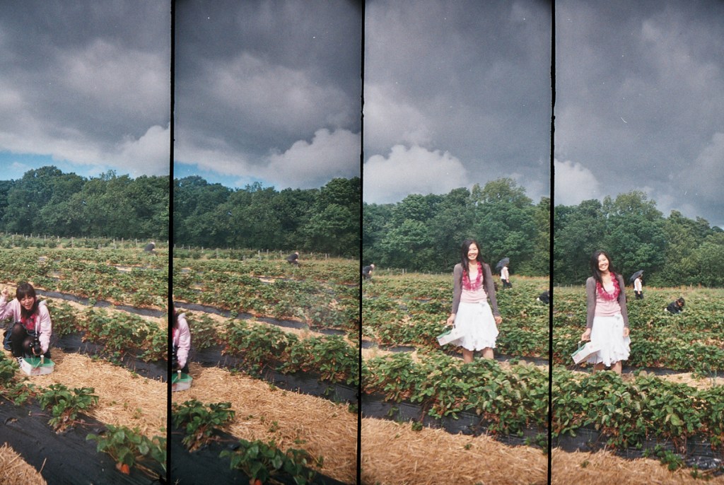 © 2013 Rong Fu, All Rights Reserved. andyandrong@gmail.com