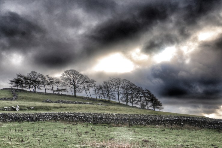 © 2014 Rong Fu, All Rights Reserved. andyandrong@gmail.com