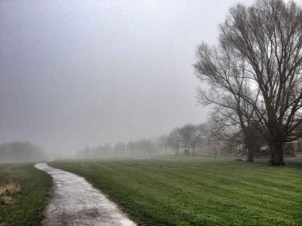 Foggy morning