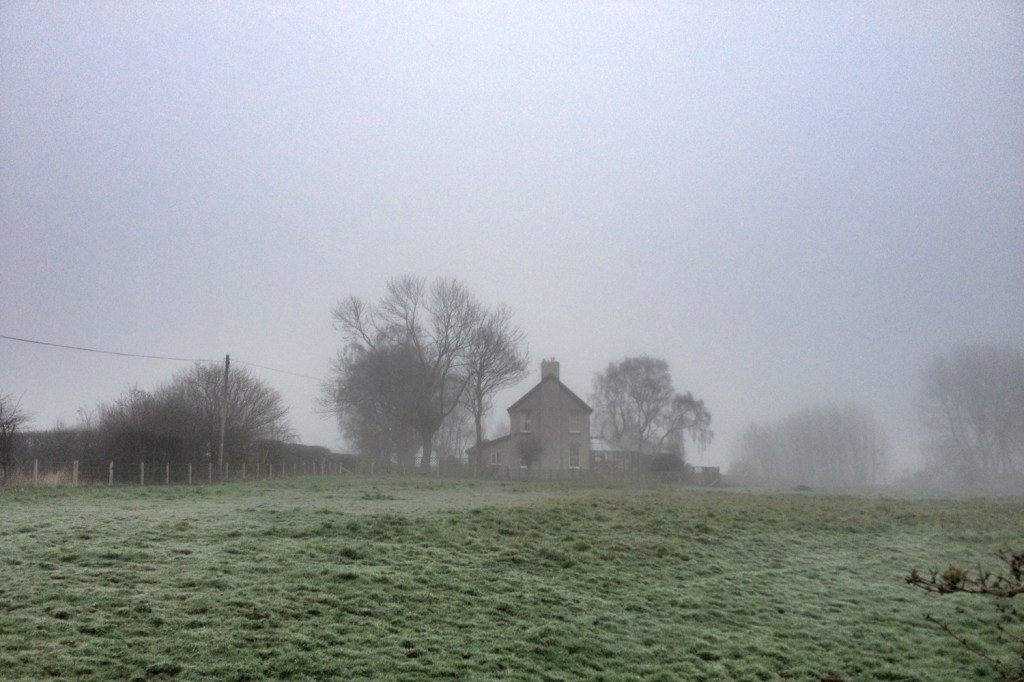 Foggy morning