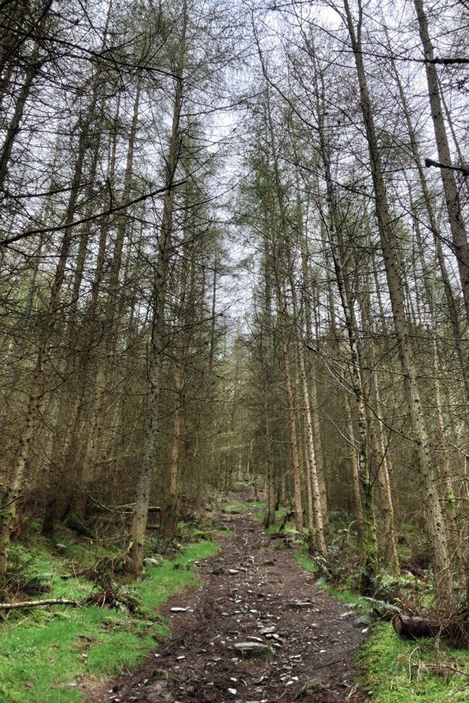 A Promenade in the Sky