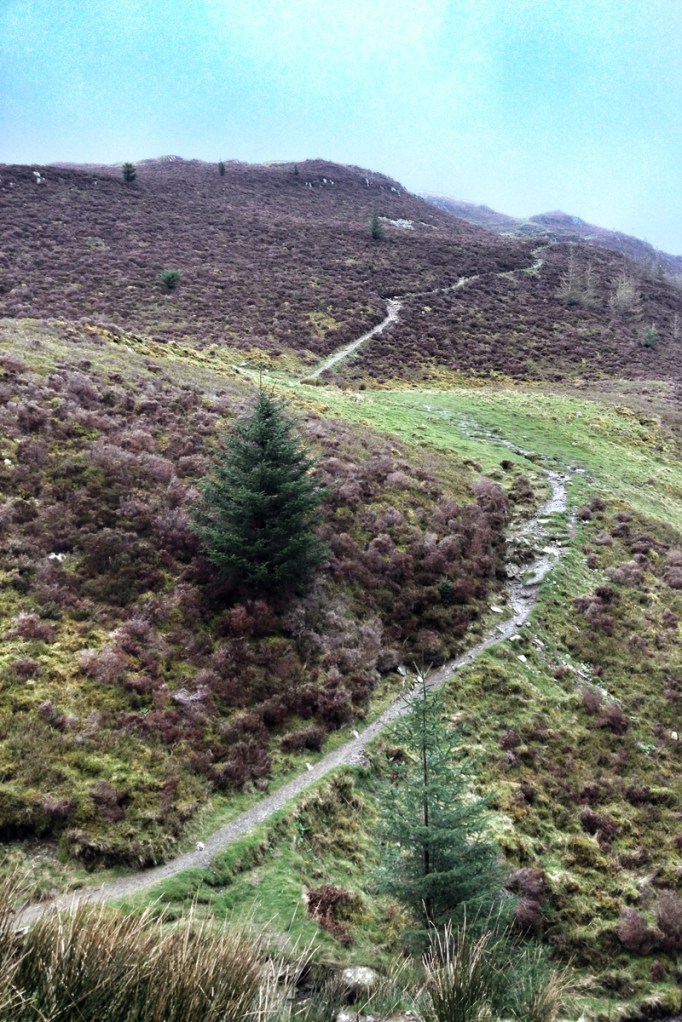A Promenade in the Sky