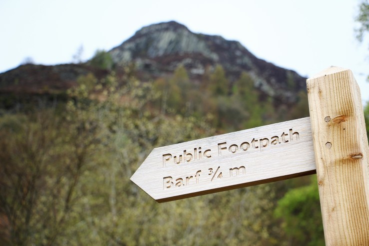 A Promenade in the Sky