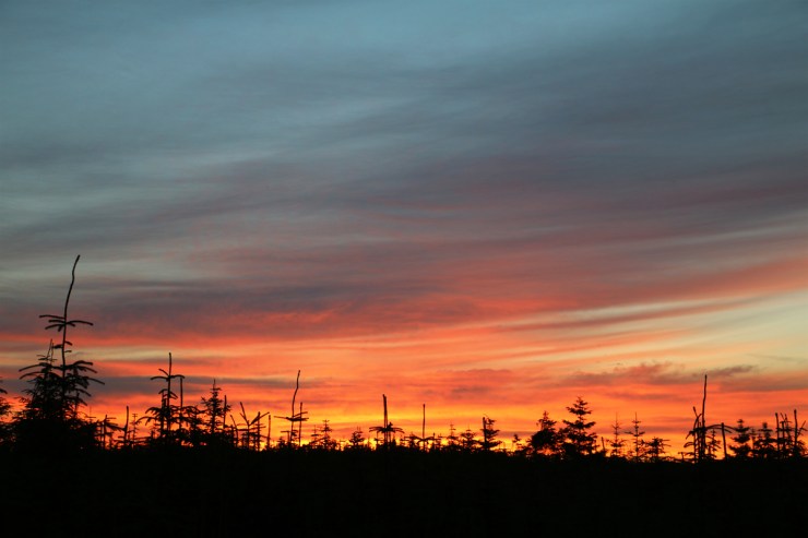 A Night at Kielder Observatory