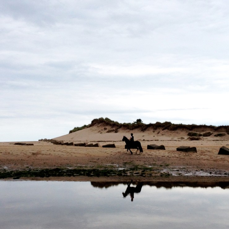 A Day Trip to Alnmouth