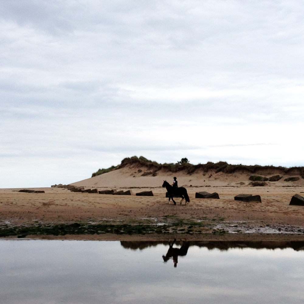 A Day Trip to Alnmouth