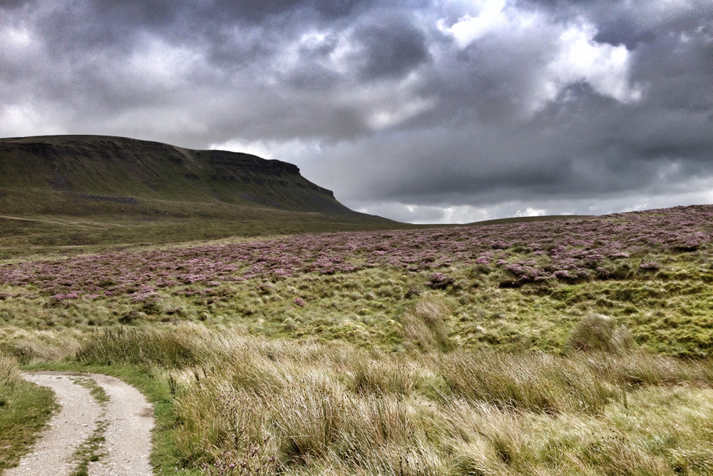 The slow walk on Yorkshire Three Peaks - Pen-y-ghent