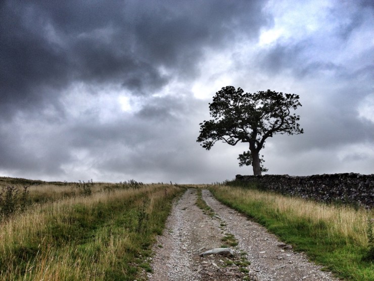 The slow walk on Yorkshire Three Peaks – Ingleborough