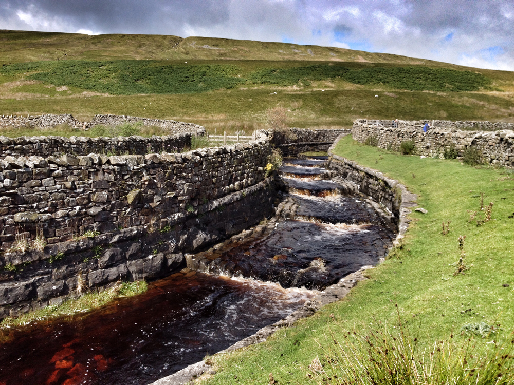 The slow walk on Yorkshire Three Peaks – Whernside