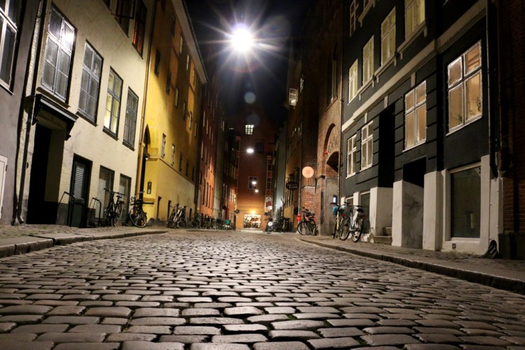 November: With the last red berries and the first white snows