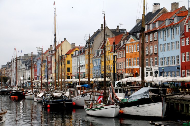 November: With the last red berries and the first white snows