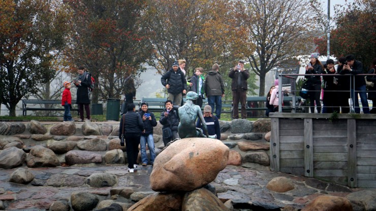 November: With the last red berries and the first white snows