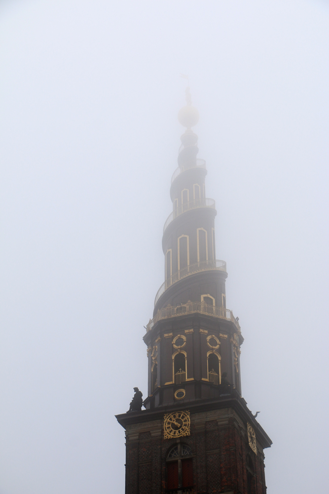 November: With the last red berries and the first white snows