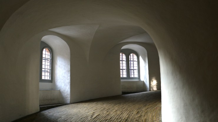 November: With the last red berries and the first white snows