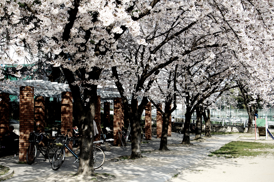 April in Japan - The Importance of Check-In Luggage