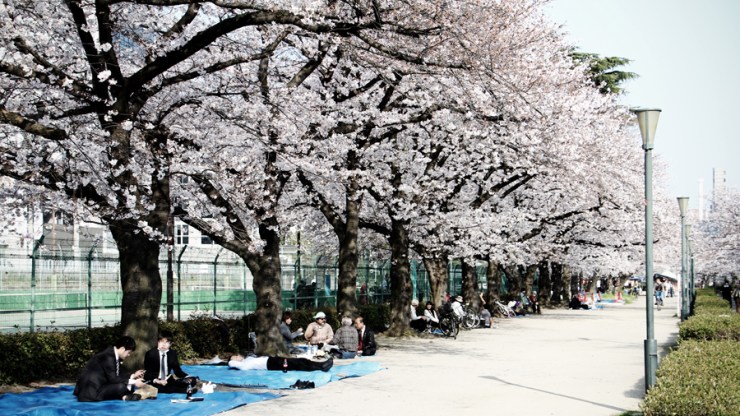 April in Japan - The Importance of Check-In Luggage