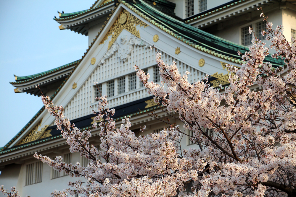 April in Japan - The Importance of Check-In Luggage