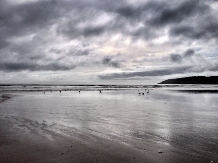 Walking in Wales - The Gower