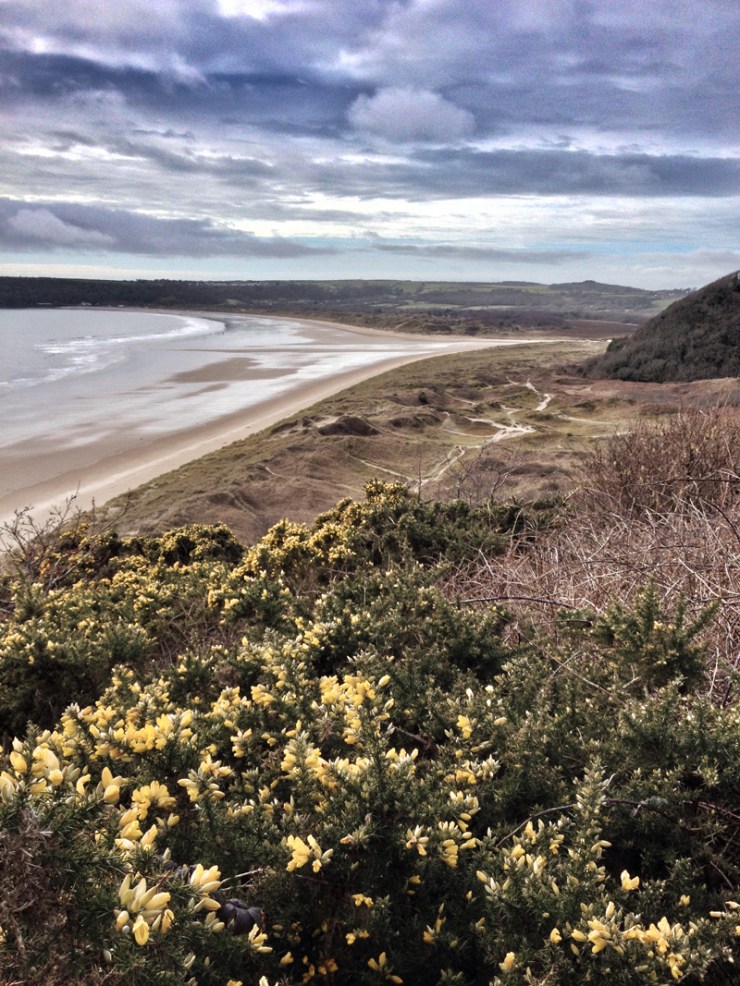 Walking in Wales - The Gower
