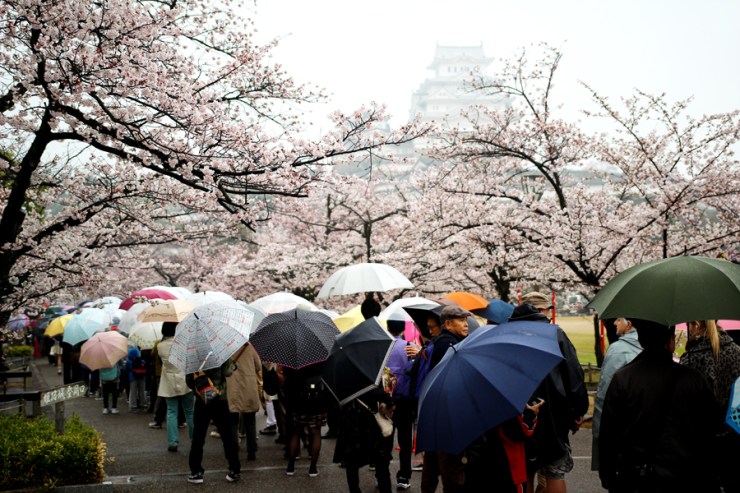 April in Japan - The First (and Only) Bite of Kobe Beef