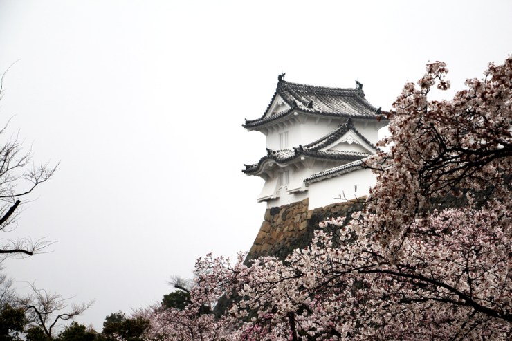 April in Japan - The First (and Only) Bite of Kobe Beef