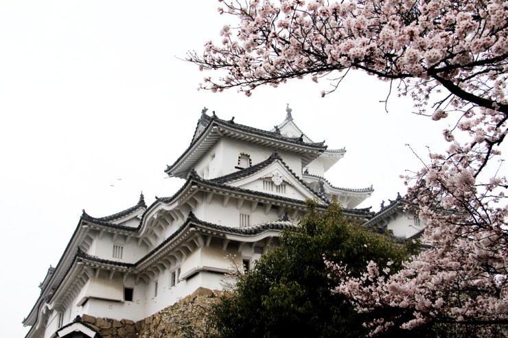 April in Japan - The First (and Only) Bite of Kobe Beef