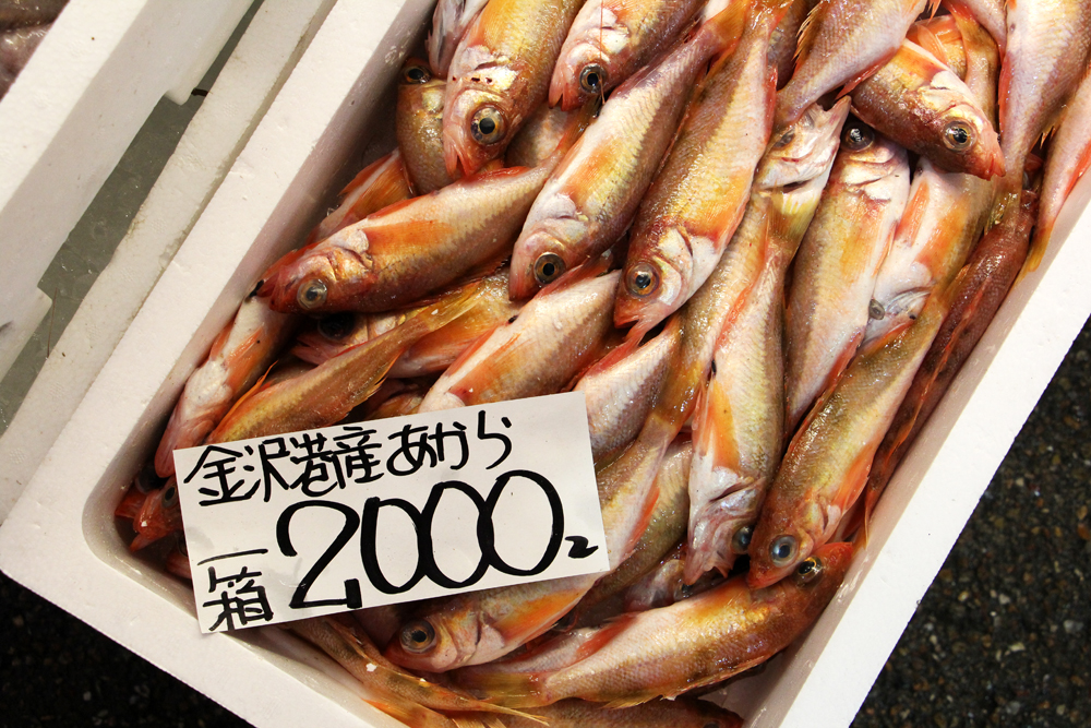 April in Japan