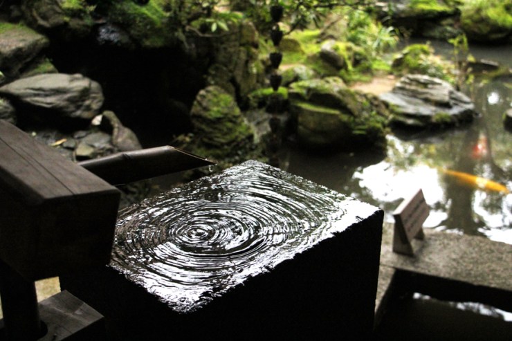 April in Japan - Marsh of Gold