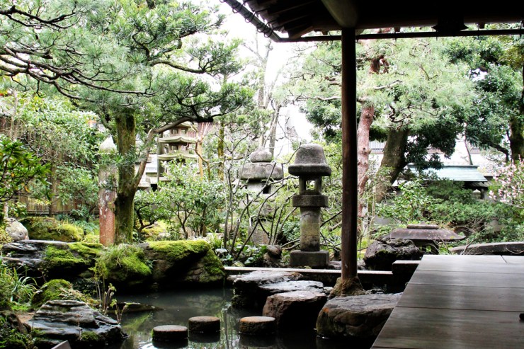 April in Japan - Marsh of Gold