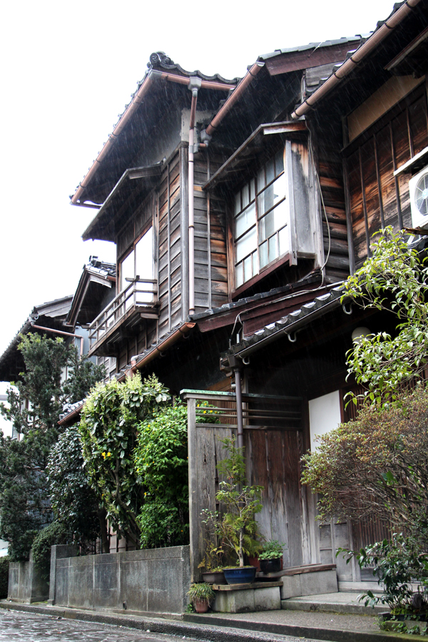 April in Japan - Marsh of Gold