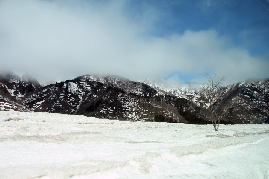 © 2015 Rong Fu, All Rights Reserved. andyandrong@gmail.com