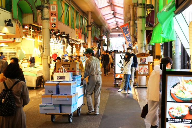April in Japan - Marsh of Gold