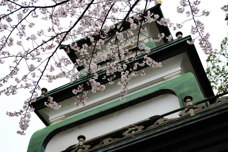 April in Japan - Marsh of Gold
