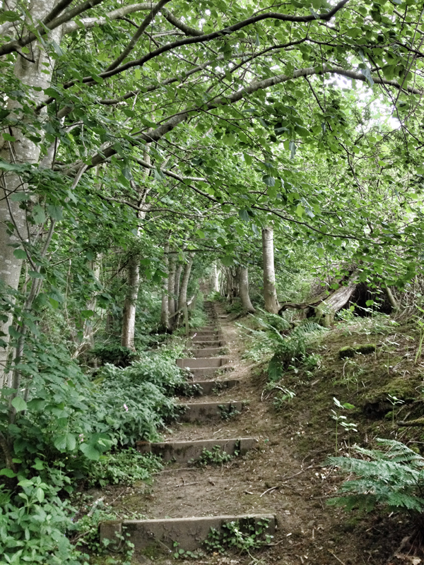 A secret path.