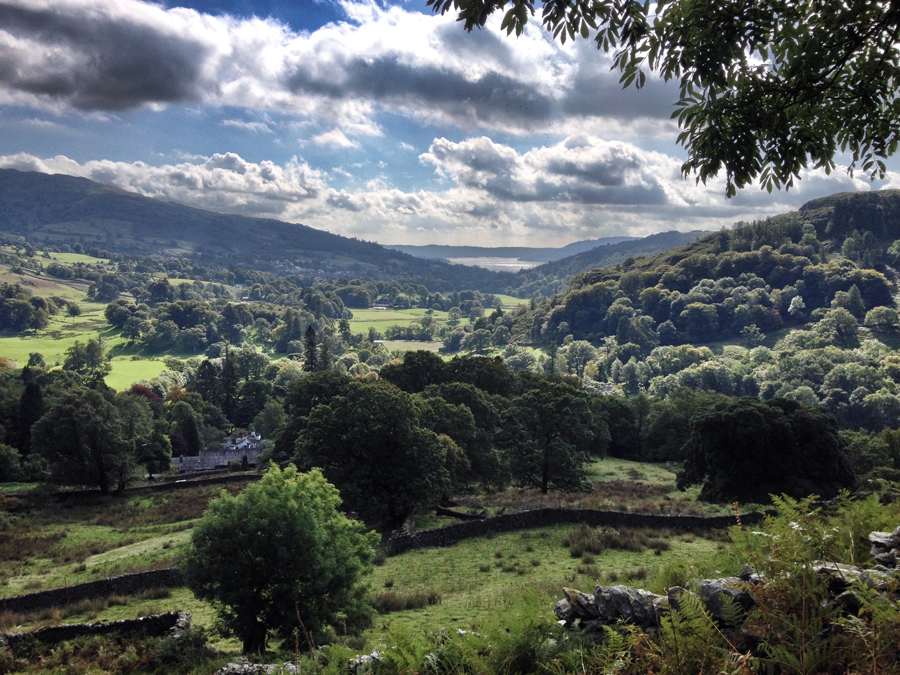 Going up from Nab Scar, the west arm of the horseshoe. This is the view looking south, back towards Ambleside and Windermere.