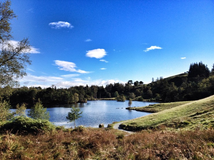 Tarn Hows & Coniston - Lake District 2015