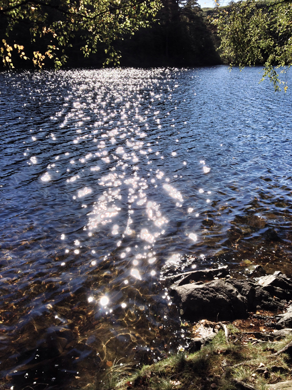Tarn Hows & Coniston - Lake District 2015