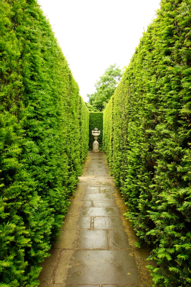 Glimpses of Sissinghurst Castle Garden