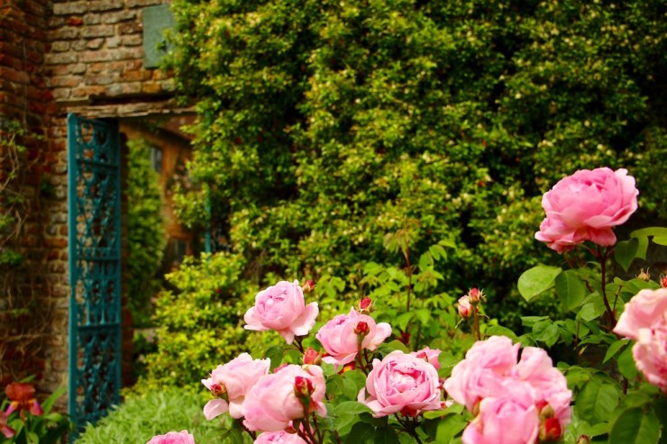 Glimpses of Sissinghurst Castle Garden