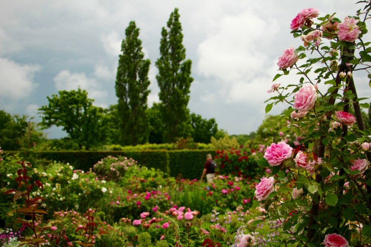 Glimpses of Sissinghurst Castle Garden