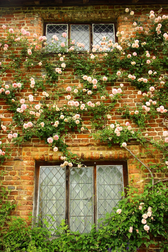 Glimpses of Sissinghurst Castle Garden