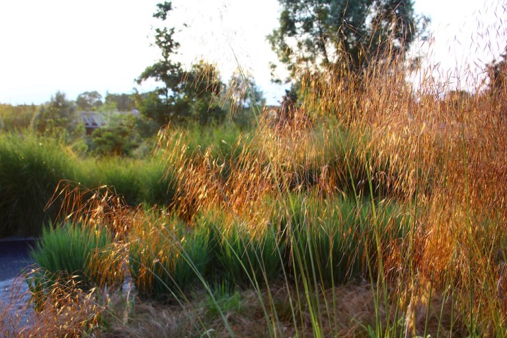 June Miscellany 2016