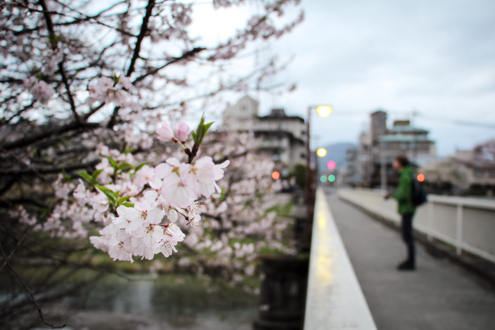 Nakaragi-no-michi