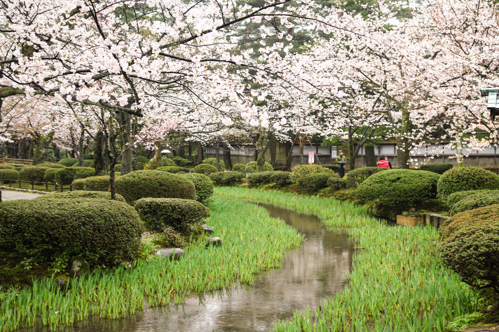 April in Japan - Kanazawa Rained