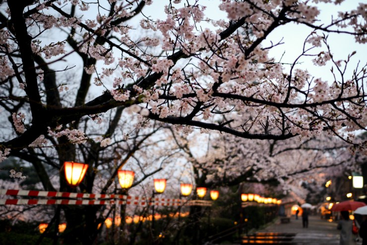 April in Japan - Kanazawa Rained